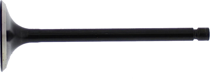 2037-5ceea9ae74d46.jpg