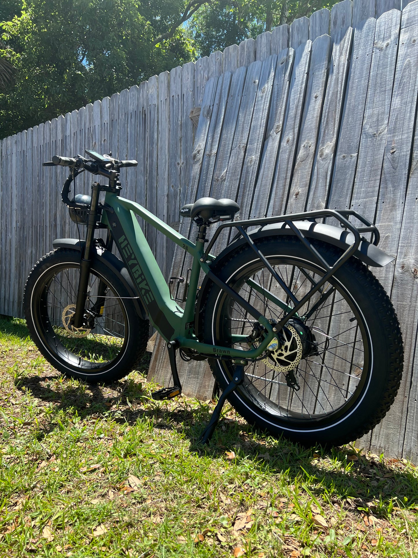 HeyBike Brawn