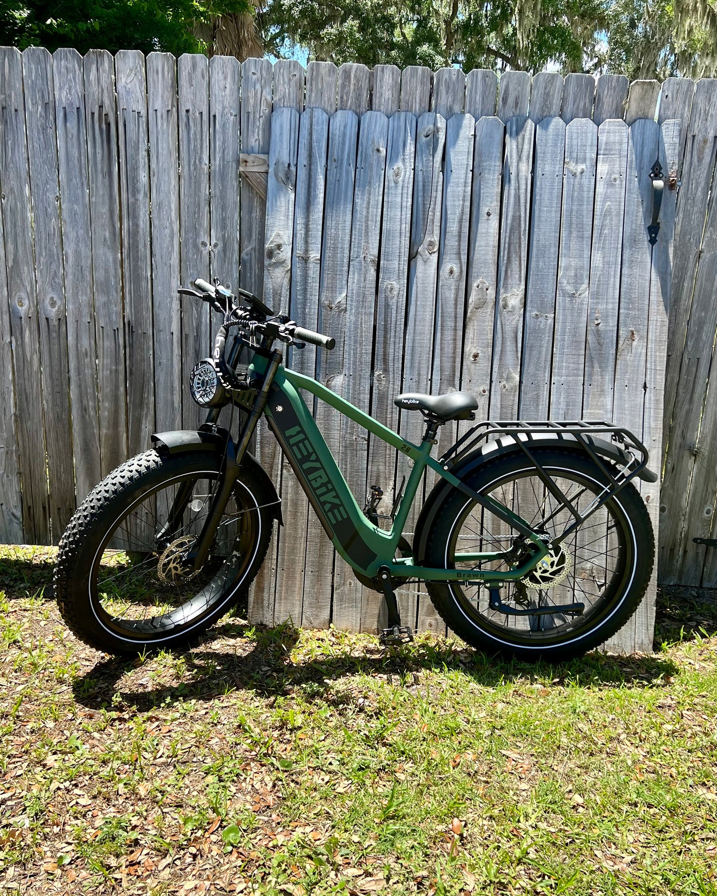 HeyBike Brawn