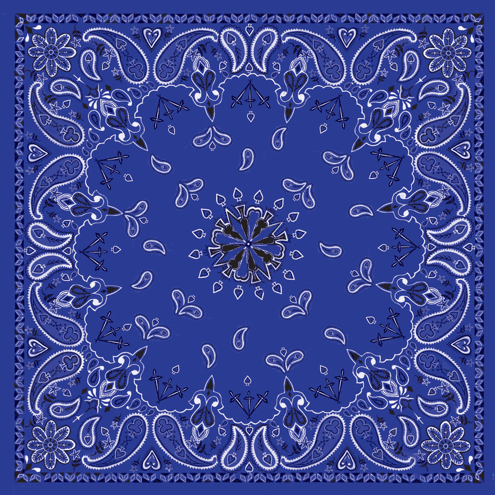 f2e2-572a5f0460155.jpg