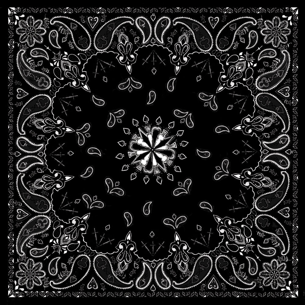 2456-572a5f03cd036.jpg