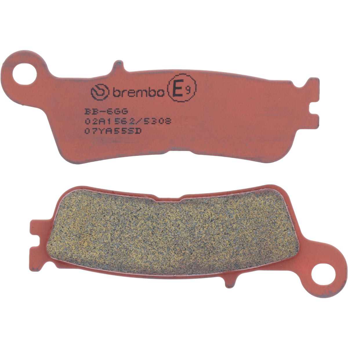 53e4-6a5a563ebad63.jpg