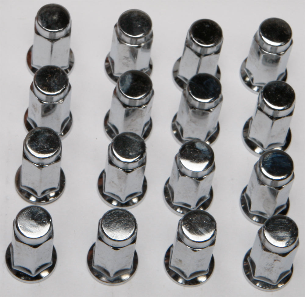beca-572a758f1146e.jpg