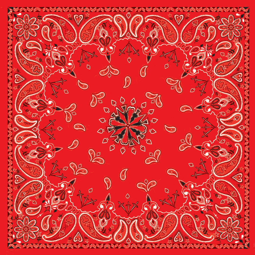 c7e6-572a5f0502f2d.jpg