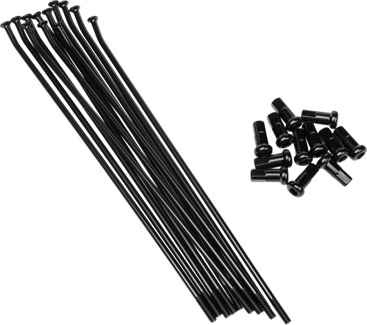 e8ce-6a91c5b167953.png